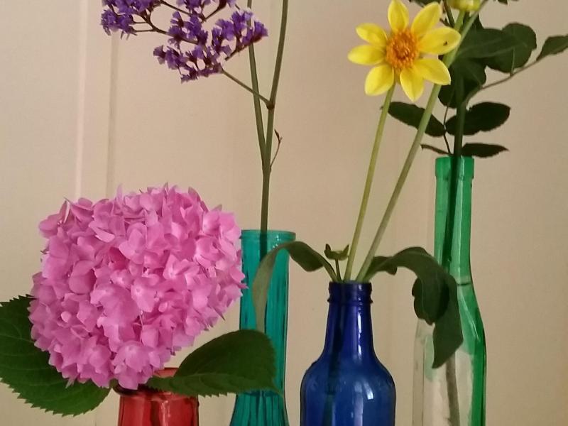 Flowers from the garden in recycled bottles 