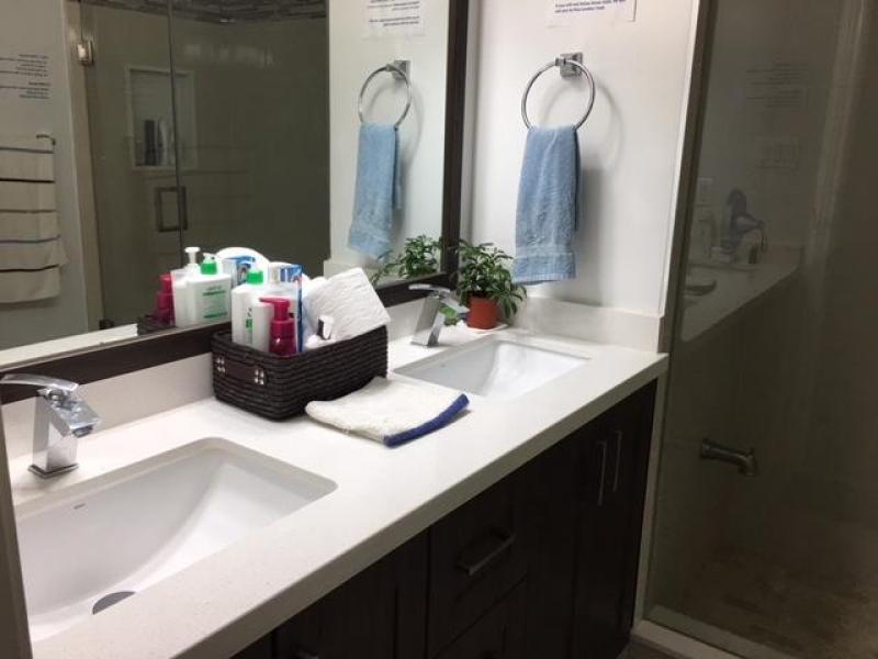 Shared washroom vanity